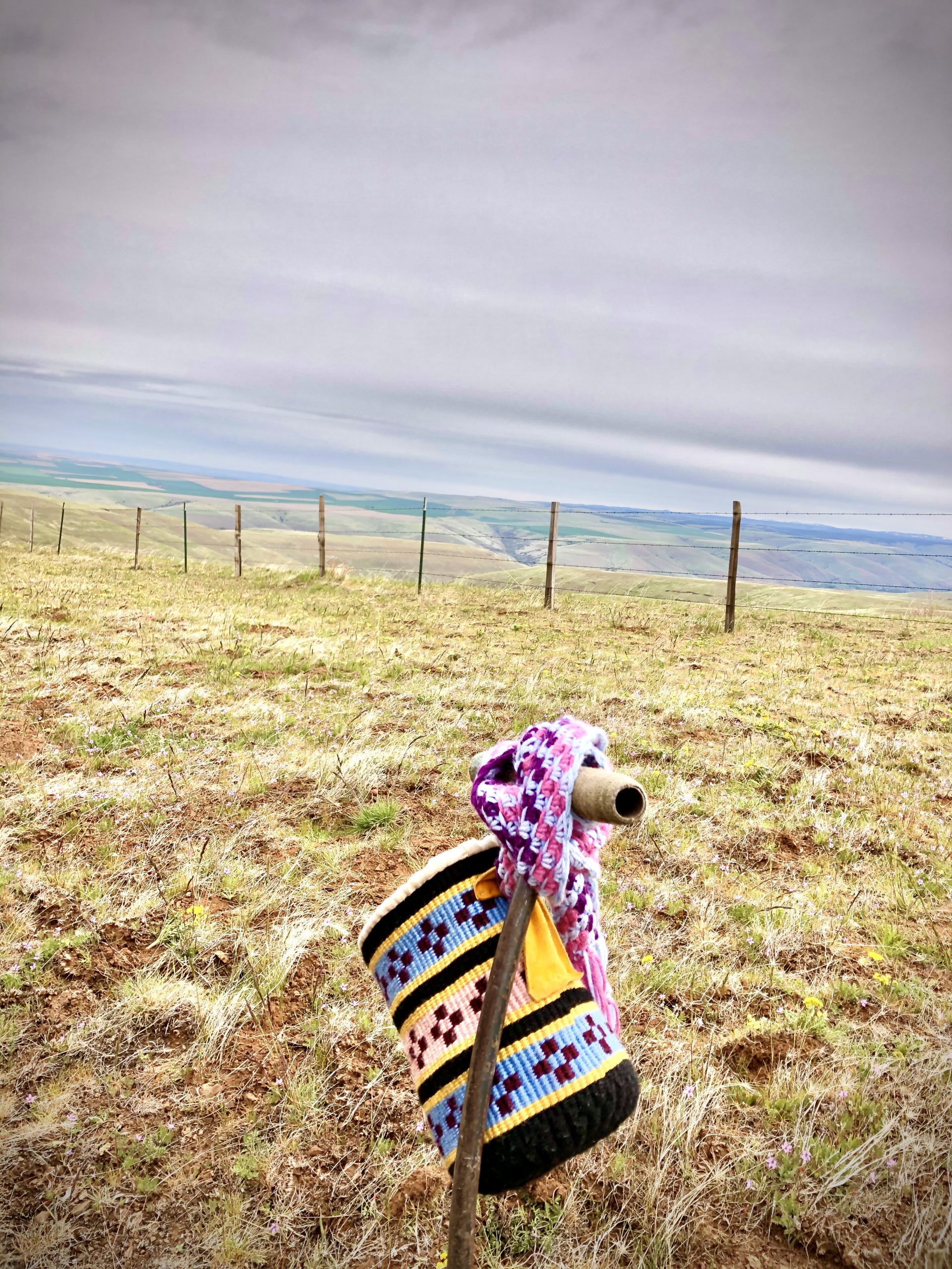 Linda Sampson took these photos during an April root gathering expedition. The Sampson family had to cancel their annual Mother’s Day Feast, but plans to get together at a later date to celebrate the return of the First Foods.