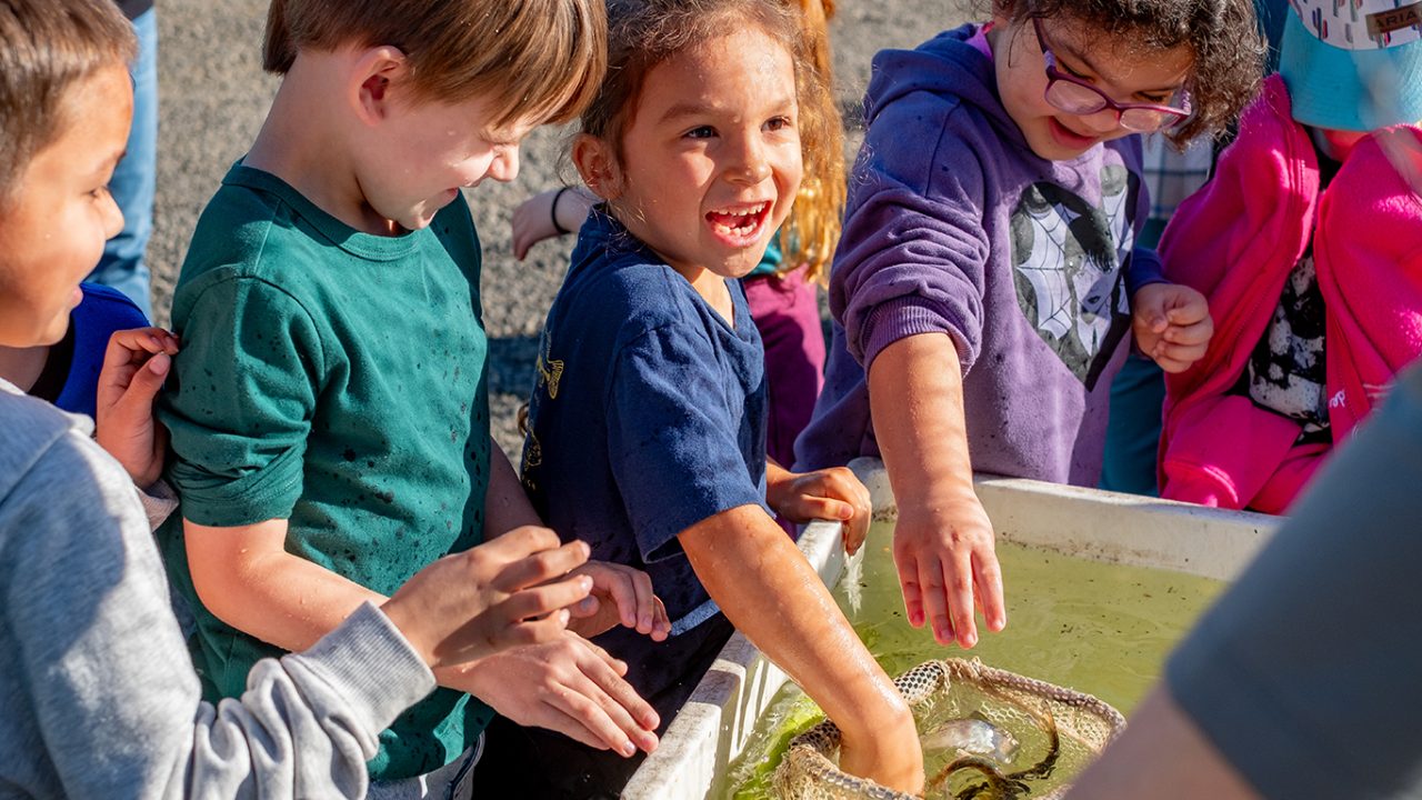 Youngsters get up close and personal with salmon and lamprey