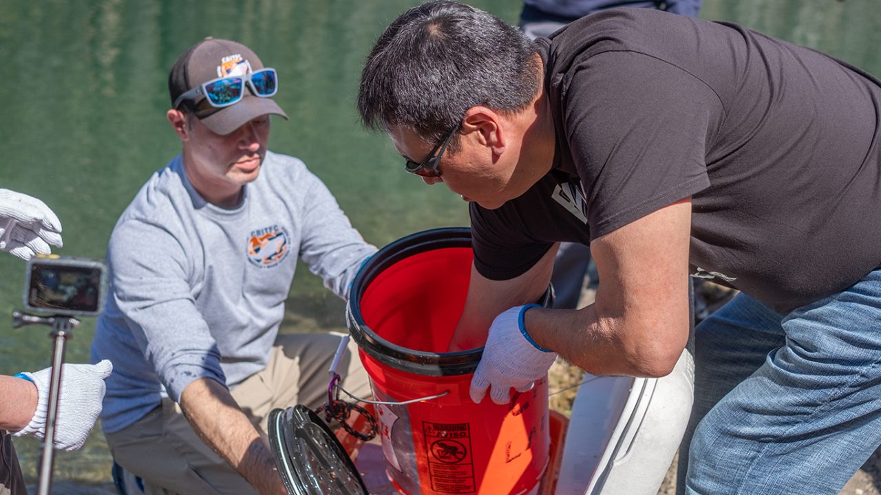 In Focus: Pacific lamprey release