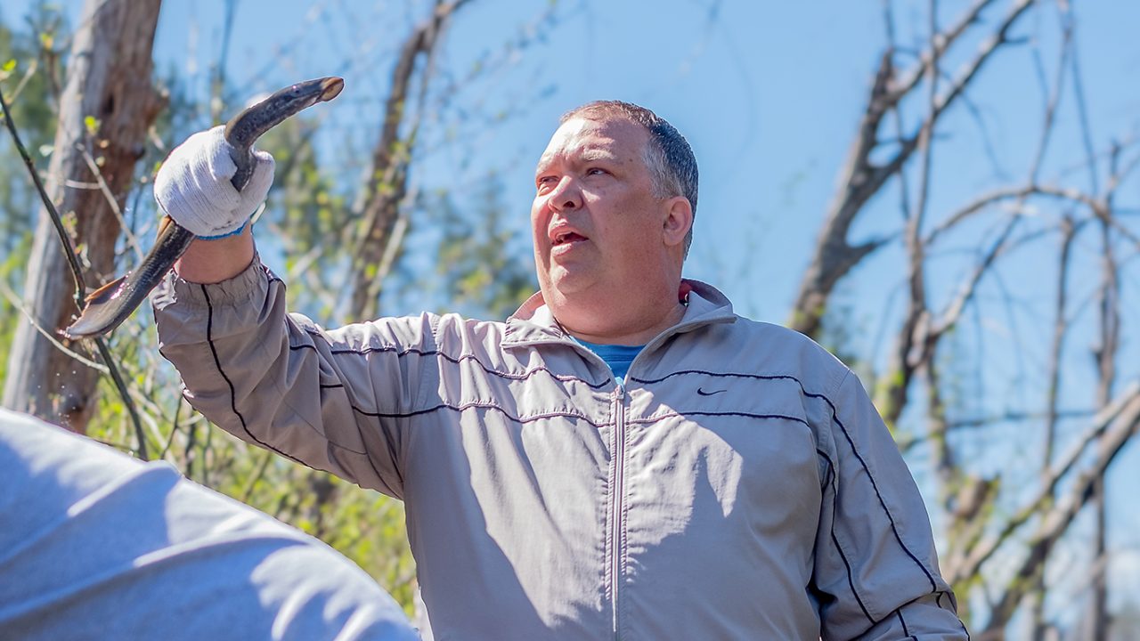 Bringing back the lamprey