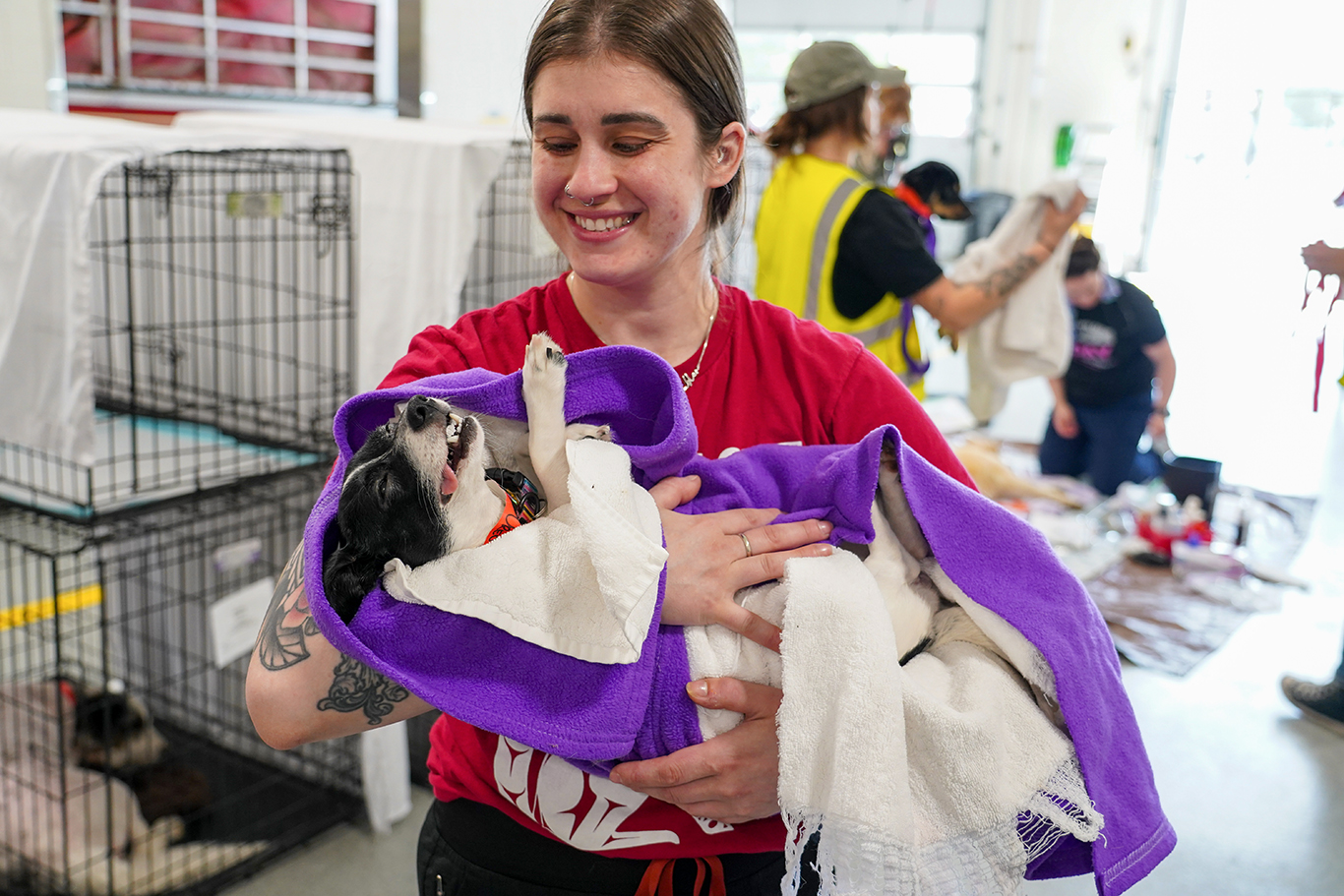 Through the Lens: Free spay and neuter clinic