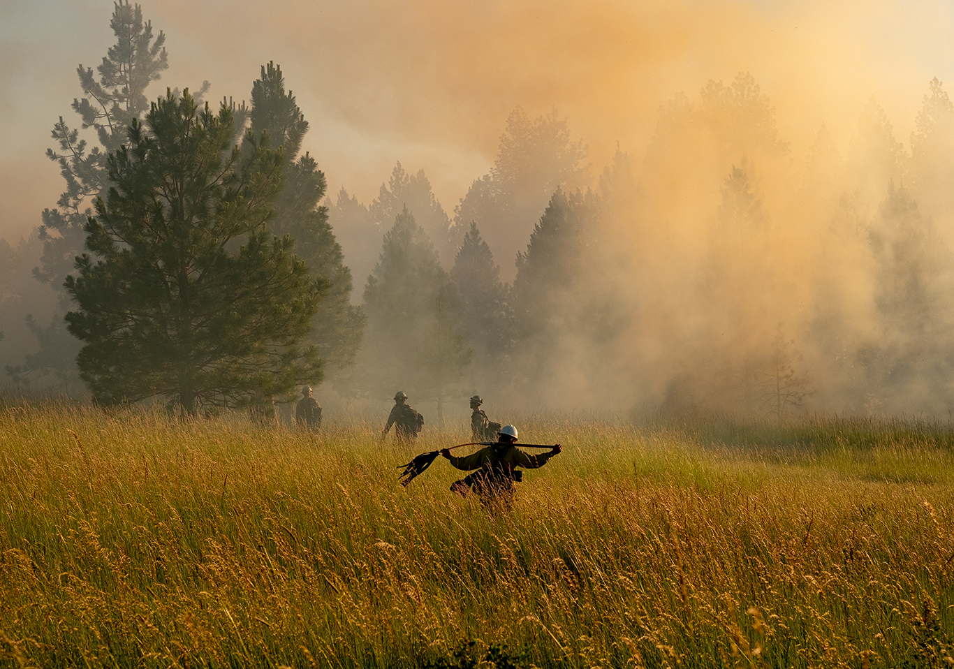 In Focus: Old Emigrant Road Fire